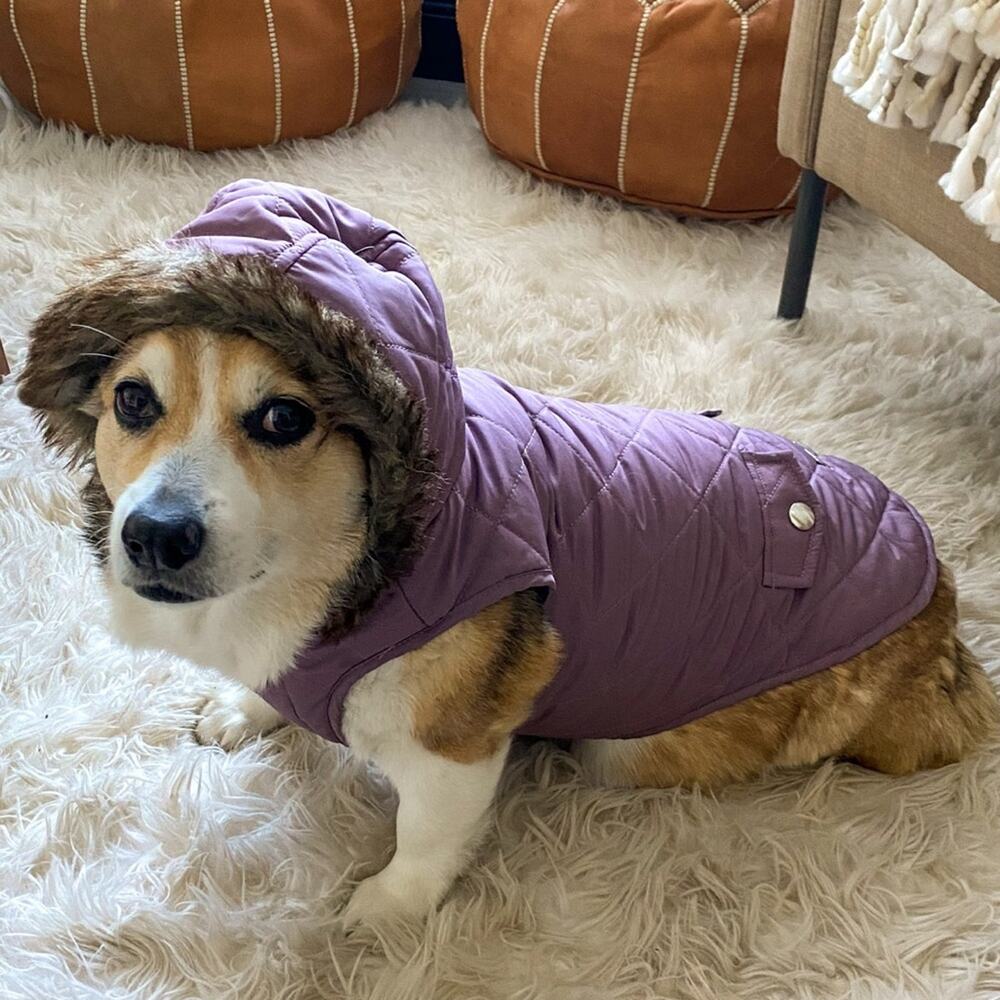 Barkley & Finn Dog Coat Medium Purple Hooded Winter Pet Jacket - Picture 11 of 12
